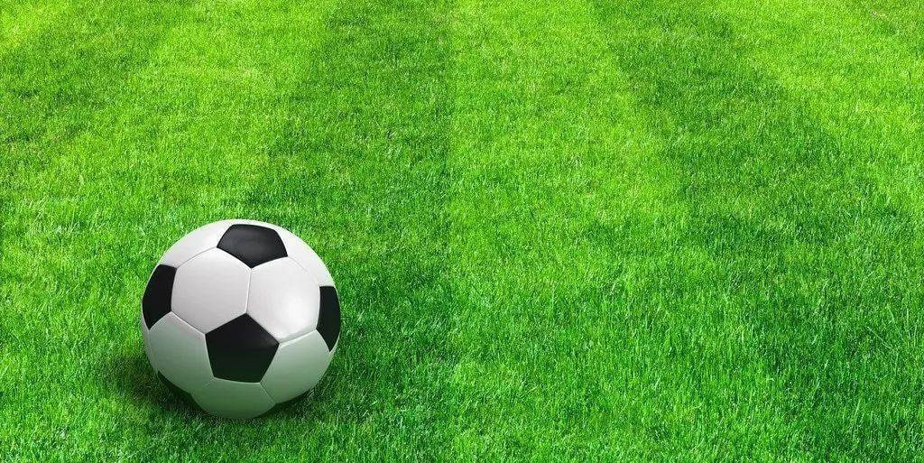 数据可视化工具